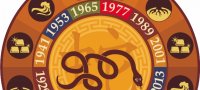 Рік вогняного щура характеристика чоловік. Щур: опис і характеристика