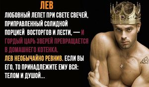♌ знак зодіаку лев. Характеристика чоловіка-лева: сумісність з жінками різних знаків зодіаку