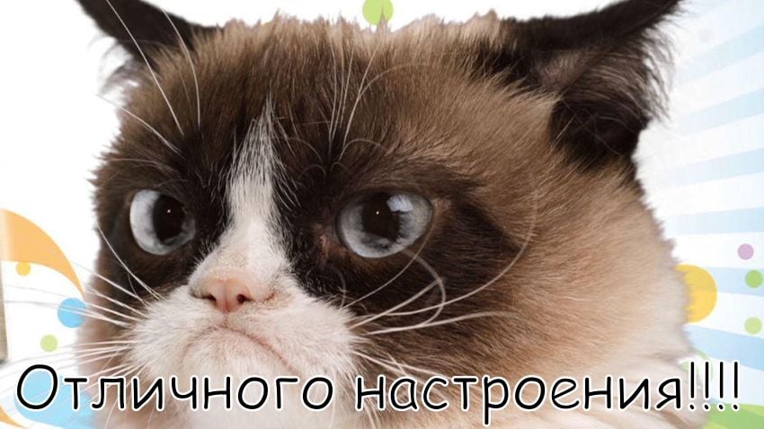 Завантажити листівку я тобі бажаю гарного дня. Прикольні картинки з побажаннями гарного і відмінного настрою