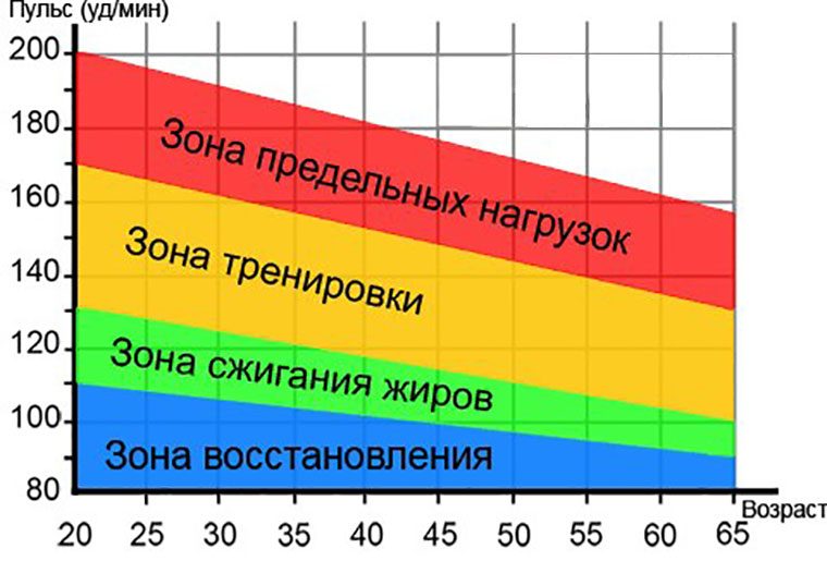 Пульс для спалювання жиру: розрахунок і правила схуднення. Розрахуємо пульс для тренування з метою схуднення