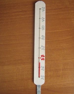 Презентація до уроку технологіївиготовлення термометра. Як зробити градусник з картону як зробити градусник в домашніх умовах