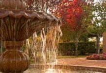 Come installare una fontana domestica: una guida passo passo per principianti